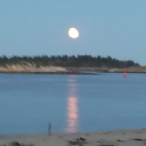 Meet your Posher, Shelly